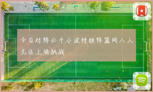 今日对阵公牛小波特缺阵篮网八人无法上场挑战
